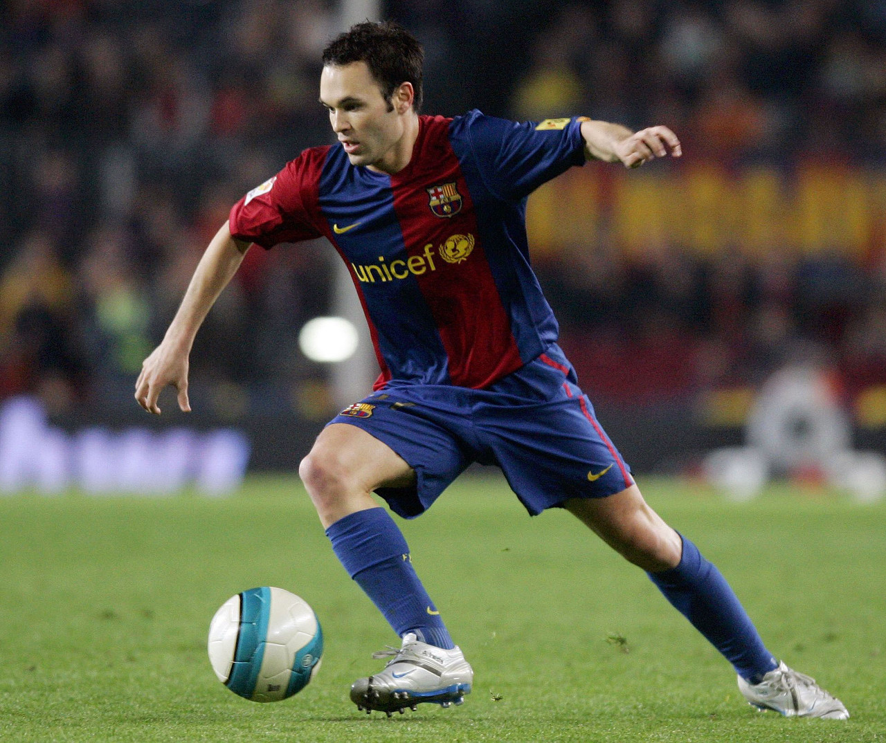 在去年的季 在去年的季