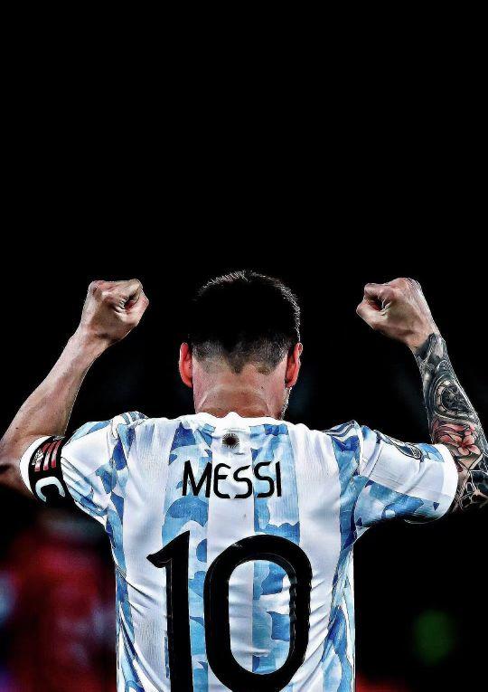 球则反映了 球则反映了